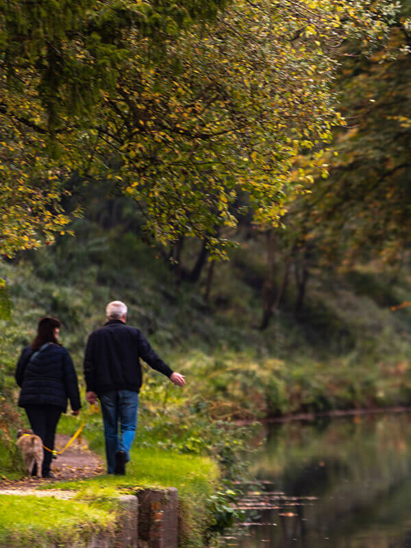 Basingstoke Canal