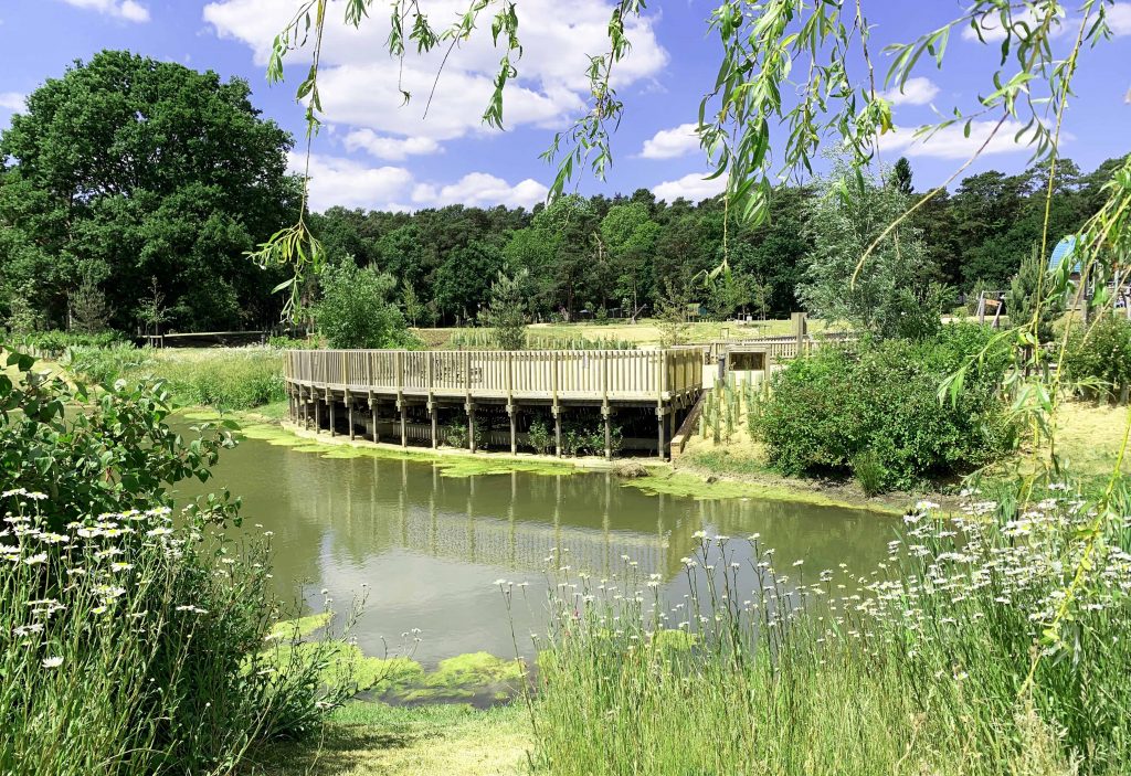 Mindenhurst Newsletters