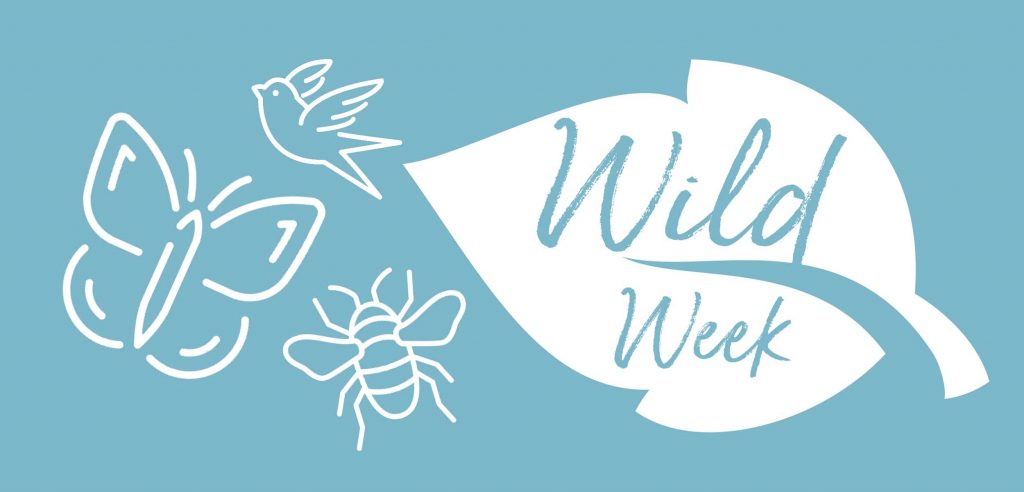 Wild Week 2023